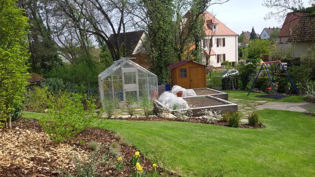 Gite Des Merles Mittelwihr Kültér fotó